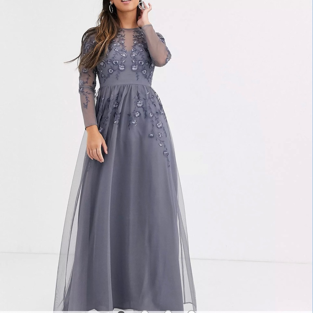 ASOS DESIGN Petite long sleeve maxi dress in embroidered mesh